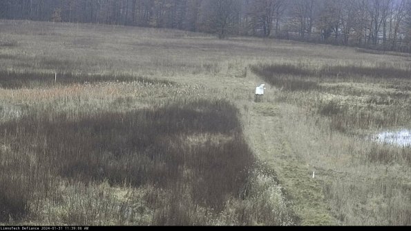 Cell 1 to 2_24-01-31_11-39-06-93