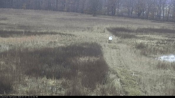 Cell 1 to 2_24-01-31_12-12-36-91