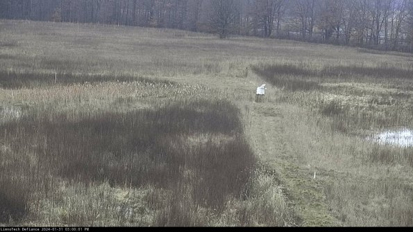 Cell 1 to 2_24-01-31_15-00-01-92