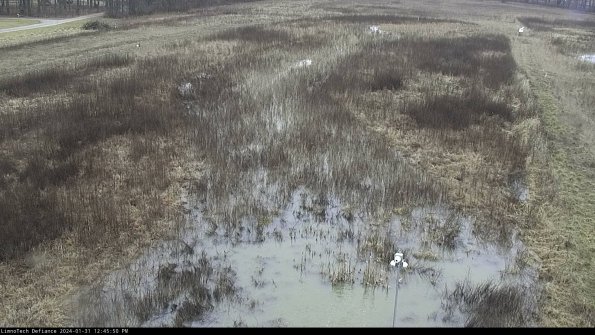 Cell 1_24-01-31_12-45-50-95