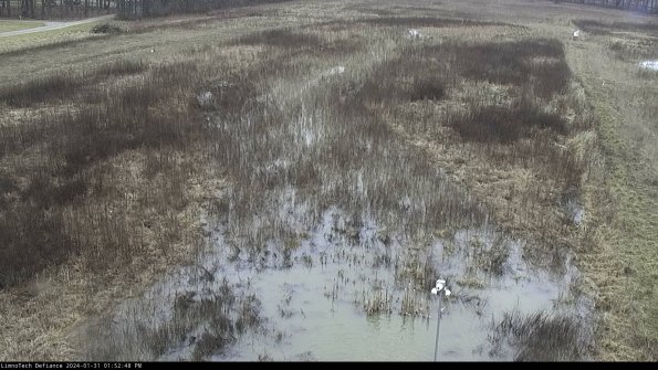 Cell 1_24-01-31_13-52-48-94