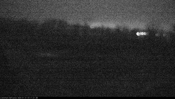 Cell 2_24-01-31_07-11-21-97