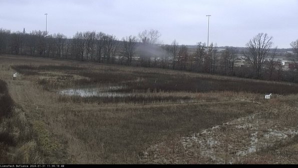 Cell 2_24-01-31_11-39-19-98