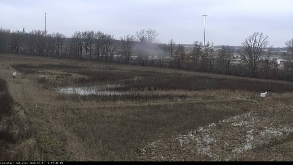 Cell 2_24-01-31_12-12-49-99