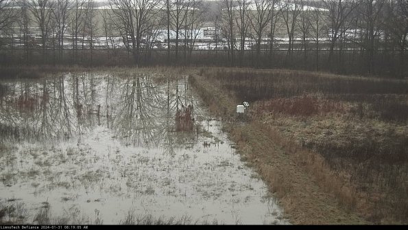 Cell 3 to 4_24-01-31_08-19-05-94