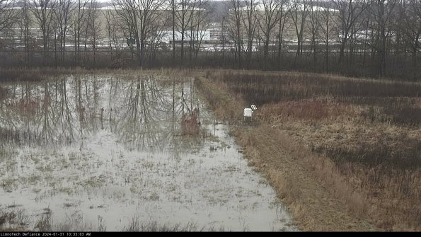 Cell 3 to 4_24-01-31_10-33-03-93