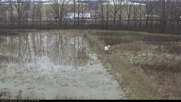 Cell 3 to 4_24-01-31_13-20-28-93