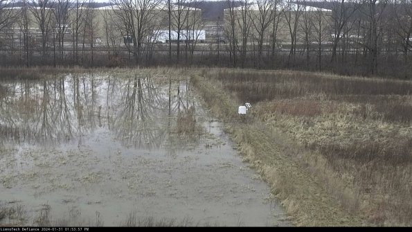 Cell 3 to 4_24-01-31_13-53-57-95