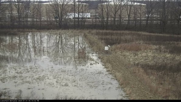 Cell 3 to 4_24-01-31_17-14-52-93