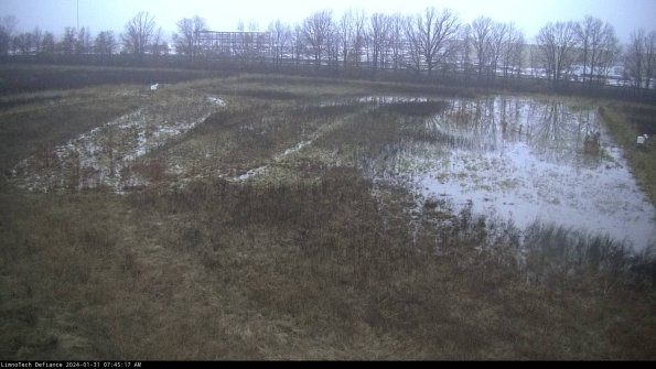 Cell 3_24-01-31_07-45-17-91