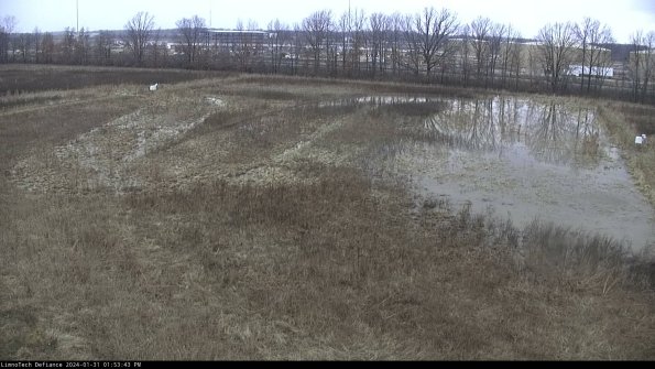 Cell 3_24-01-31_13-53-43-93