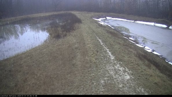 Cell 4 to Basin_24-01-31_07-46-15-97