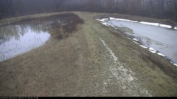 Cell 4 to Basin_24-01-31_08-53-19-97