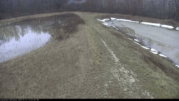 Cell 4 to Basin_24-01-31_12-47-43-93