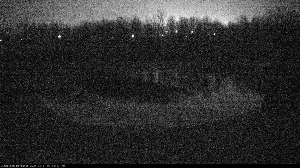 Cell 4_24-01-31_07-12-17-93