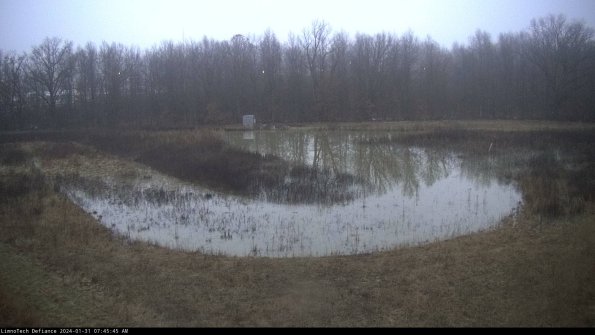 Cell 4_24-01-31_07-45-45-94