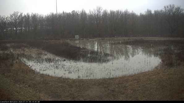 Cell 4_24-01-31_08-18-05-98