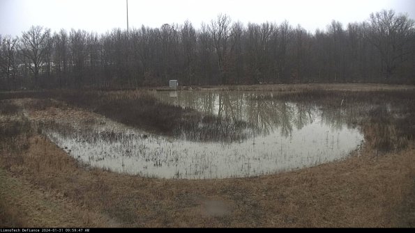 Cell 4_24-01-31_09-59-47-93