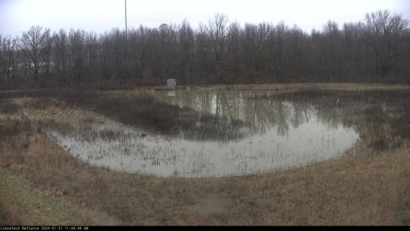 Cell 4_24-01-31_11-06-46-92