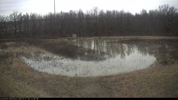 Cell 4_24-01-31_17-15-06-91