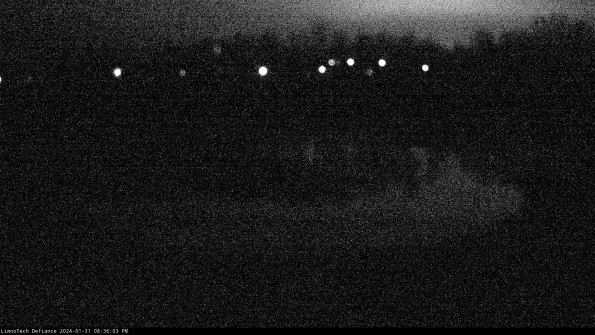 Cell 4_24-01-31_20-36-03-93