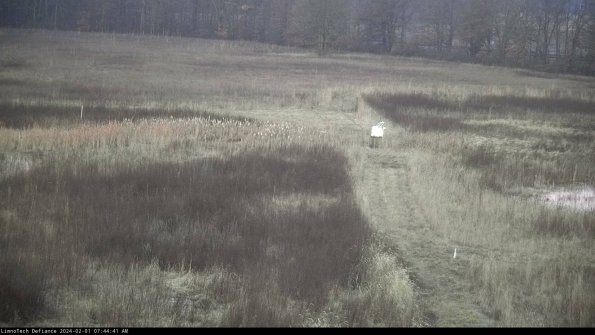 Cell 1 to 2_24-02-01_07-44-41-91