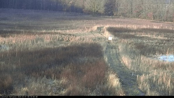 Cell 1 to 2_24-02-01_08-18-08-96