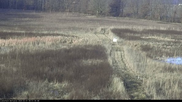 Cell 1 to 2_24-02-01_08-51-36-94