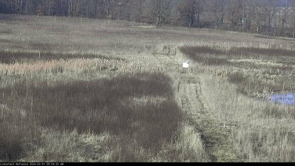 Cell 1 to 2_24-02-01_09-58-35-94