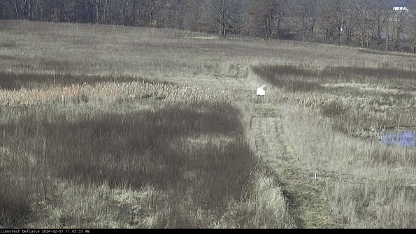 Cell 1 to 2_24-02-01_11-05-33-93