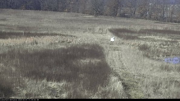 Cell 1 to 2_24-02-01_11-39-02-92