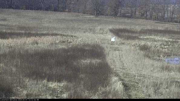 Cell 1 to 2_24-02-01_12-12-32-94