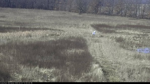 Cell 1 to 2_24-02-01_12-45-59-95