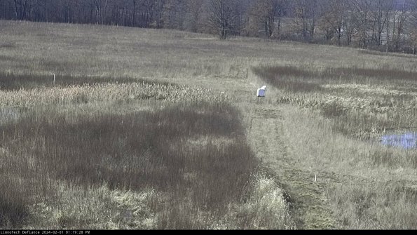 Cell 1 to 2_24-02-01_13-19-28-94