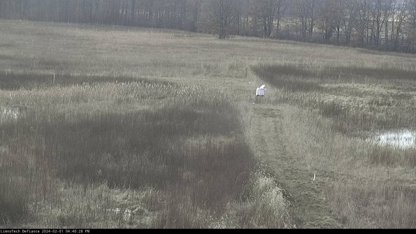 Cell 1 to 2_24-02-01_16-40-28-92