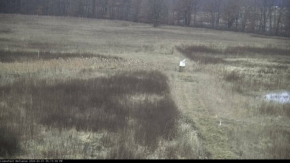 Cell 1 to 2_24-02-01_17-13-58-94