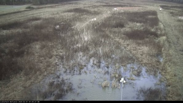 Cell 1_24-02-01_07-44-27-90