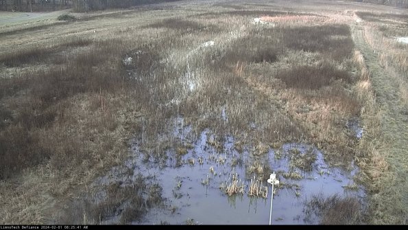 Cell 1_24-02-01_08-25-41-95