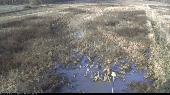 Cell 1_24-02-01_08-51-22-96