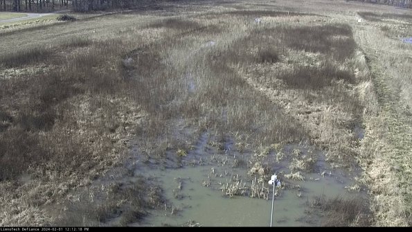 Cell 1_24-02-01_12-12-18-92