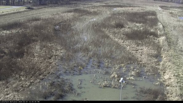 Cell 1_24-02-01_12-45-45-94