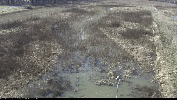 Cell 1_24-02-01_13-19-14-92