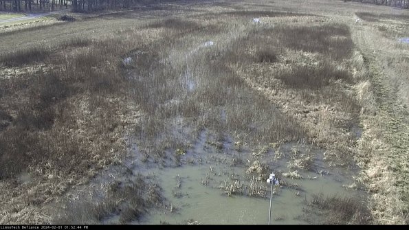 Cell 1_24-02-01_13-52-44-91