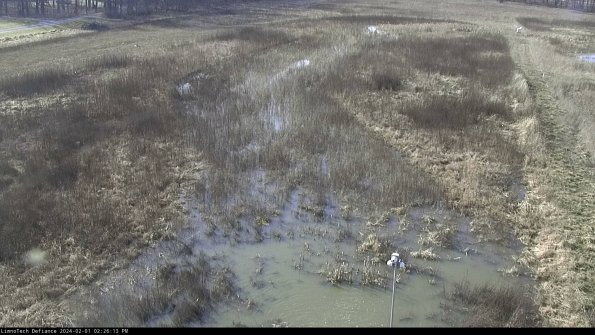 Cell 1_24-02-01_14-26-13-92