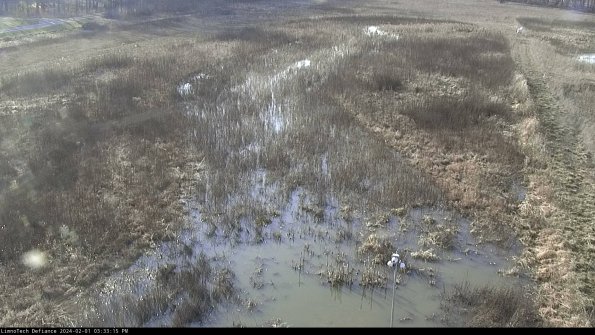 Cell 1_24-02-01_15-33-15-93