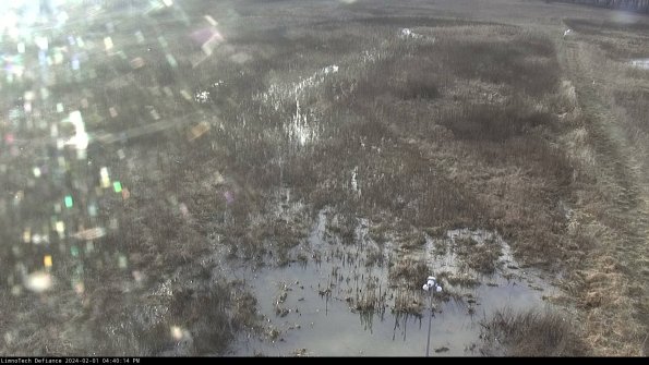 Cell 1_24-02-01_16-40-14-90