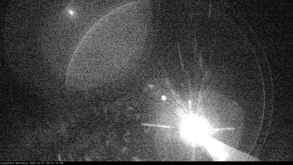 Cell 1_24-02-01_20-01-12-94