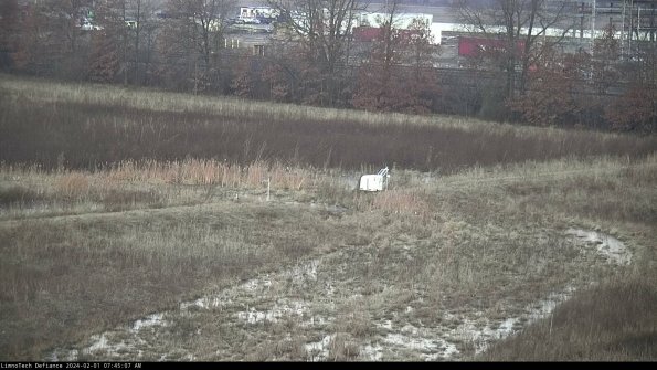 Cell 2 to 3_24-02-01_07-45-08-14