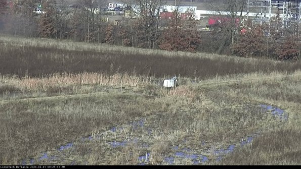 Cell 2 to 3_24-02-01_09-25-32-11