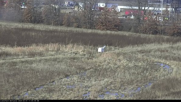 Cell 2 to 3_24-02-01_11-05-59-96